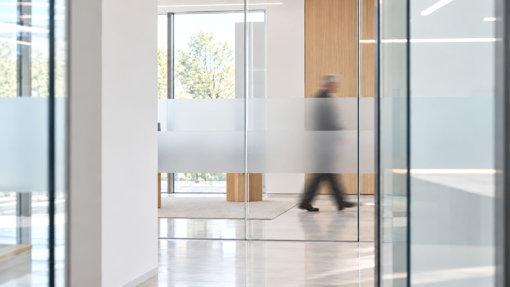 A person walking past glass-walled offices with frosted bands and pale oak panels
